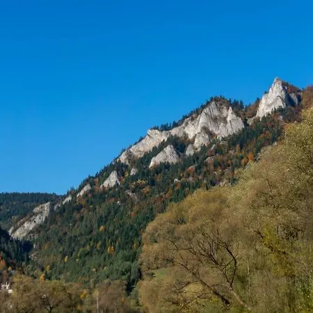 Taternik - - Tatry View&105 Apartamento Zakopane